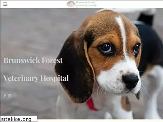 brunswickforestvet.com