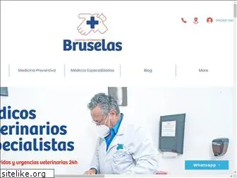 bruselas.com.mx