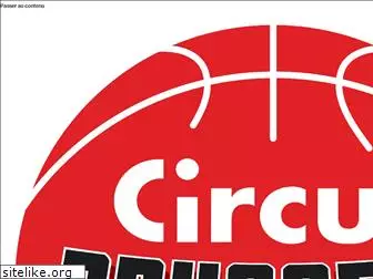 brusselsbasketball.be