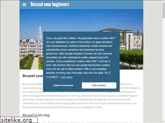 brusselvoorbeginners.nl