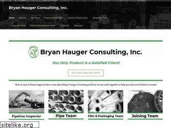 bryanhaugerconsulting.com