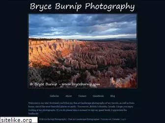 bryceburnip.com