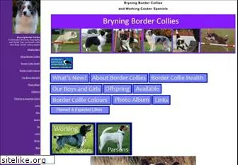 bryningbordercollies.com