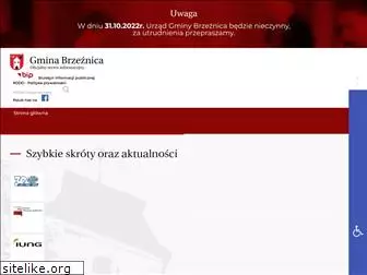 brzeznica.com.pl