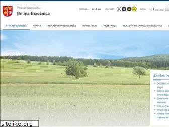 brzeznica.pl