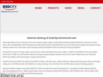 bsdcitycommercial.com