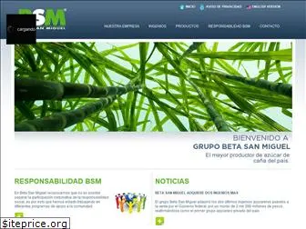 bsm.com.mx