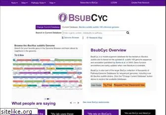 bsubcyc.org