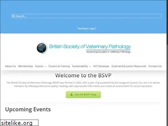 bsvp.org