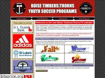 bttyouth.org