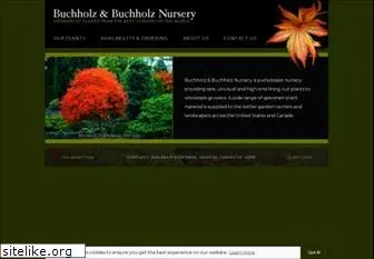 buchholznursery.com