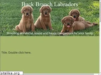buckbranchlabs.com