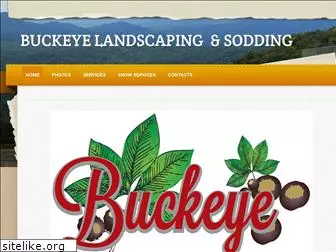 buckeyeturf.com