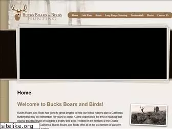 bucksboarsandbirds.com