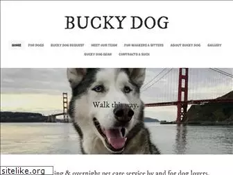 buckyd.com