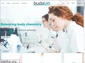 budalab.com