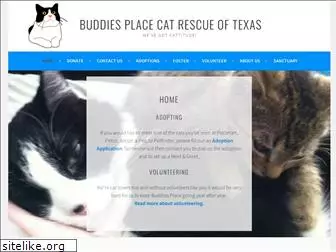 buddiesplacecatrescue.org