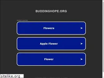 buddinghope.org