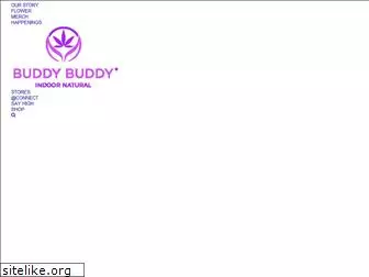 buddybuddyindoor.com