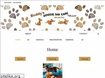 buddysdaycare.com