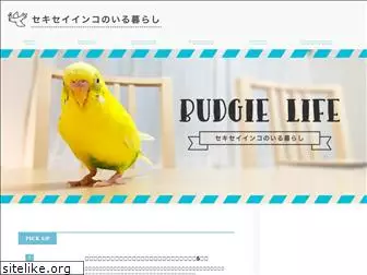 budgerigar-life.com