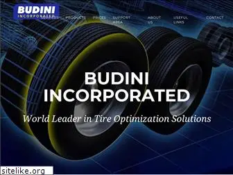 budiniincorporated.com