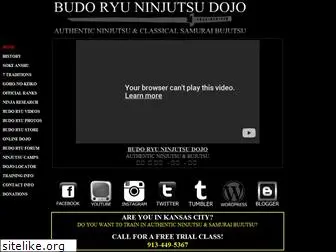 budoryuninjutsu.com