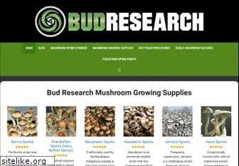 budresearch.com