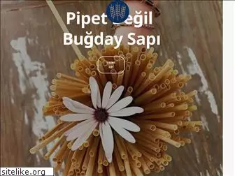 bugdaysapi.com