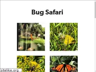 bugsafari.com