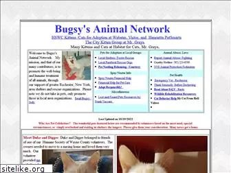 bugsysanimalnetwork.com