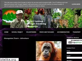 bukitlawang-wildlife.blogspot.com