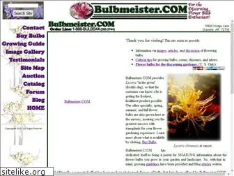 bulbmeister.com