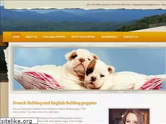 bulldogpuppybreeder.weebly.com