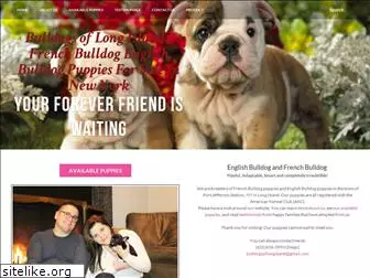 bulldogsoflongisland.com