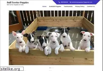 bullterrierpuppiesforsale.com