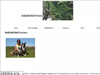 bullyhillbullterriers.com