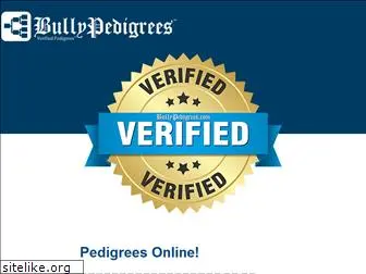 bullypedigrees.com