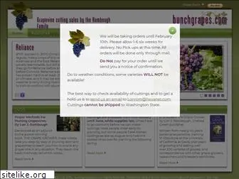 bunchgrapes.com