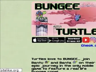 bungeeturtle.com