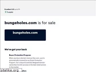 bungeholes.com