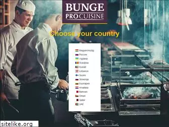 bungepro.com
