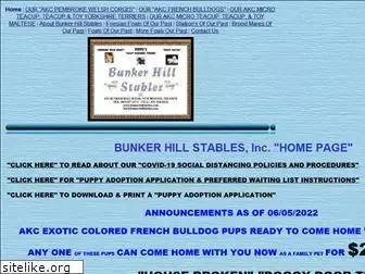 bunkerhillstables.com
