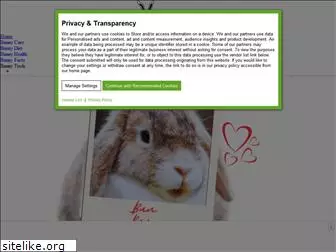 bunnyhorde.com