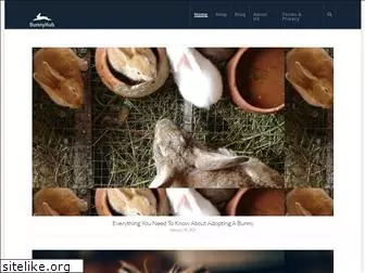 bunnyhub.org