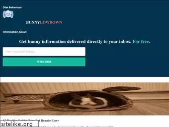 bunnylowdown.com
