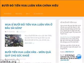 www.buoidotienvua.info