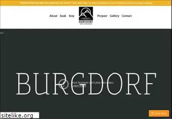 burgdorfhotsprings.com