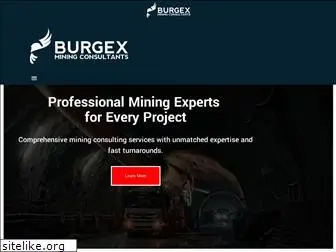 burgex.com