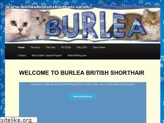 burleabritishshorthair.co.uk